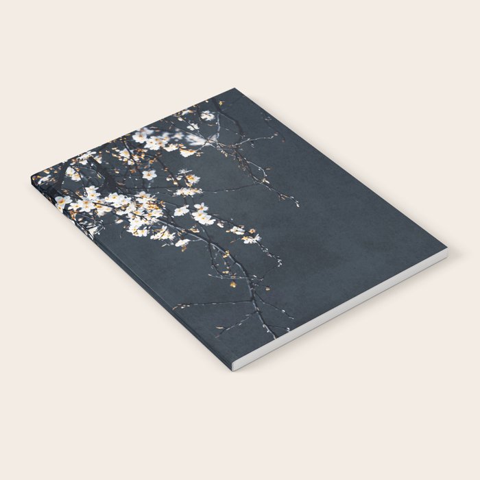 White Blossom Flowers on Blue Texture - Tree - Elegant Floral - Nature photography Notebook Gallery Image 1