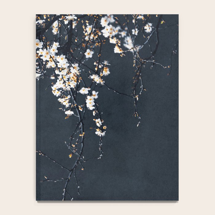 White Blossom Flowers on Blue Texture - Tree - Elegant Floral - Nature photography Notebook Gallery Image 4