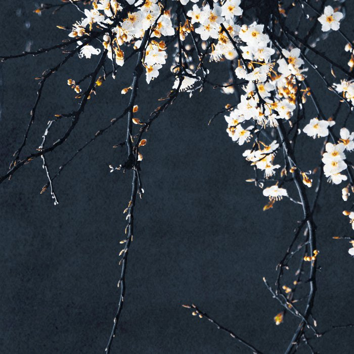 White Blossom Flowers on Blue Texture - Tree - Elegant Floral - Nature photography Coffee Mug Gallery Image 2