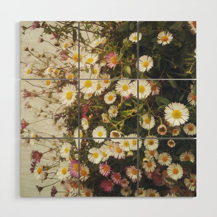 Wall of Daisies Wood Wall Art Gallery Image 1