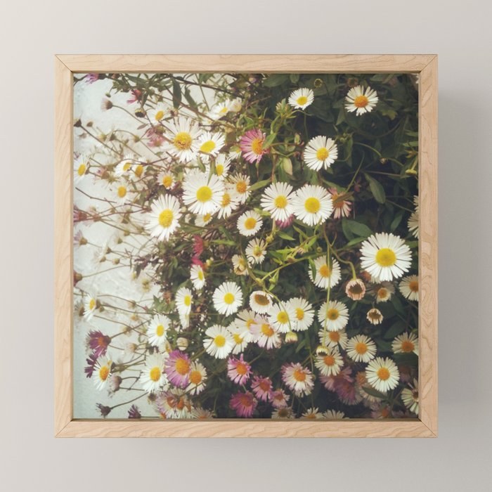 Wall of Daisies Mini Art Print Gallery Image 1