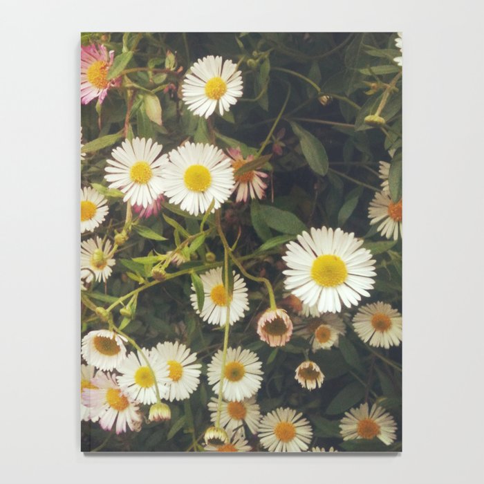Wall of Daisies Notebook Gallery Image 4