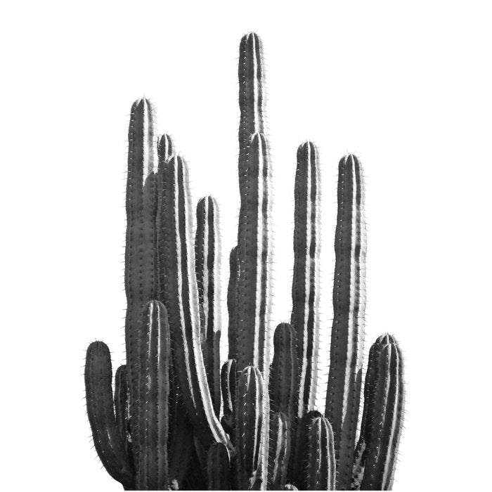 Black and White Cactus Coffee Mug Gallery Image 2