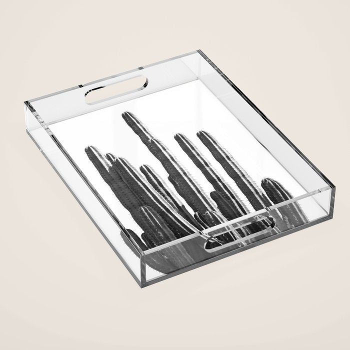 Black and White Cactus Acrylic Tray Gallery Image 1