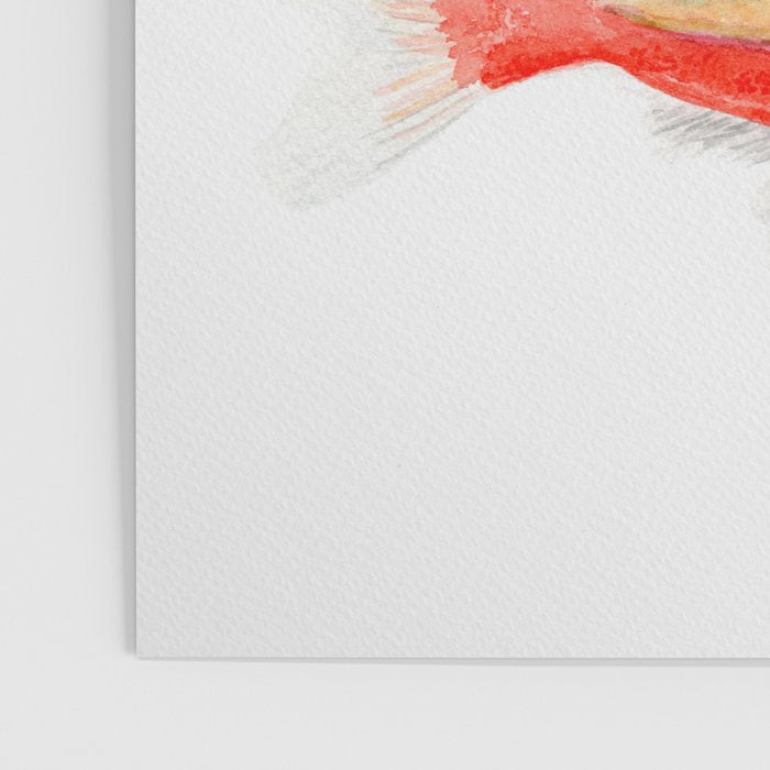 Colorful Fish Poster Gallery Image 3