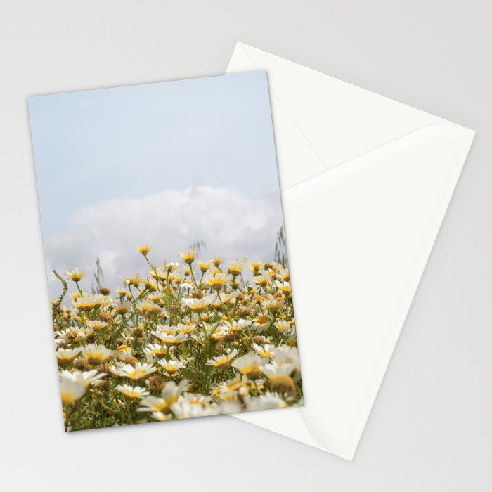 Garden of Daisy Flowers | Nature Photography in Portugal Art Print | Floral Summer Photo Stationery Card Gallery Image 2