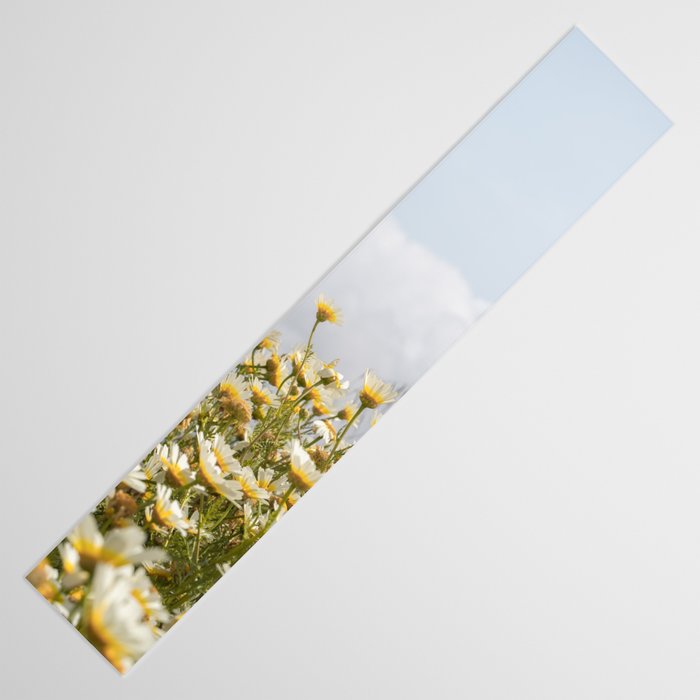 Garden of Daisy Flowers | Nature Photography in Portugal Art Print | Floral Summer Photo Table Runner Gallery Image 3