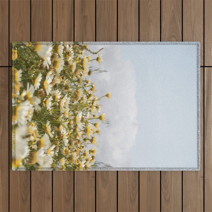 Garden of Daisy Flowers | Nature Photography in Portugal Art Print | Floral Summer Photo Outdoor Rug Gallery Image 1