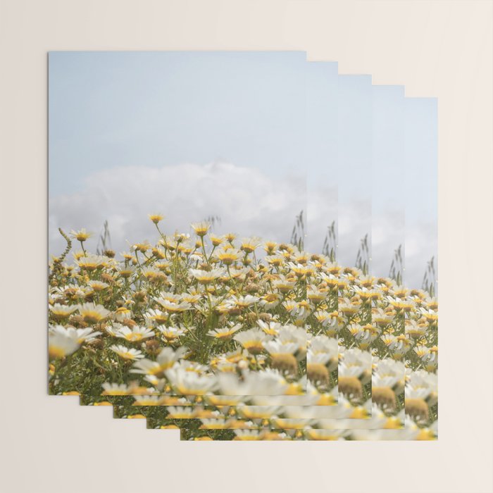 Garden of Daisy Flowers | Nature Photography in Portugal Art Print | Floral Summer Photo Wrapping Paper Gallery Image 3