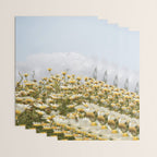 Garden of Daisy Flowers | Nature Photography in Portugal Art Print | Floral Summer Photo Wrapping Paper Gallery Image 3
