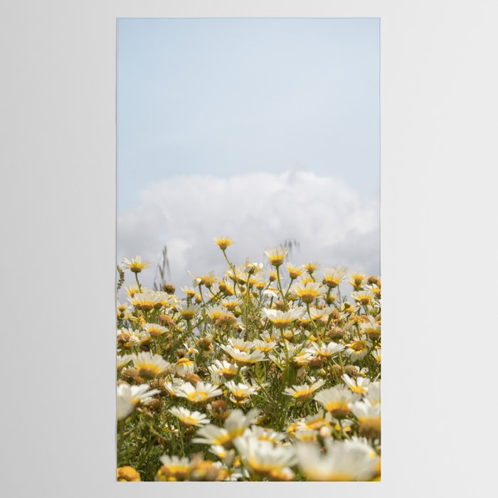 Garden of Daisy Flowers | Nature Photography in Portugal Art Print | Floral Summer Photo Tablecloth Gallery Image 2