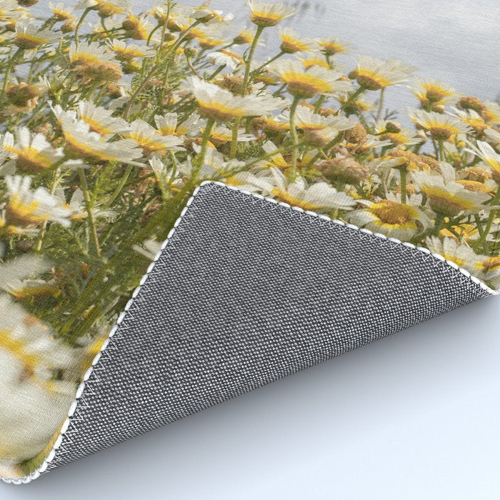 Garden of Daisy Flowers | Nature Photography in Portugal Art Print | Floral Summer Photo Rug Gallery Image 4