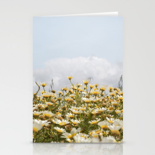 Garden of Daisy Flowers | Nature Photography in Portugal Art Print | Floral Summer Photo Stationery Card Gallery Image 1