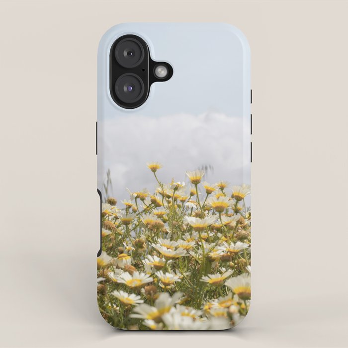 Garden of Daisy Flowers | Nature Photography in Portugal Art Print | Floral Summer Photo iPhone Case Gallery Image 1