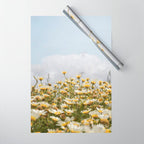 Garden of Daisy Flowers | Nature Photography in Portugal Art Print | Floral Summer Photo Wrapping Paper Gallery Image 1