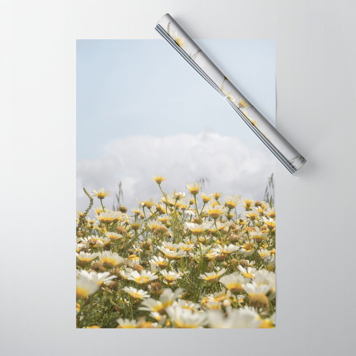 Garden of Daisy Flowers | Nature Photography in Portugal Art Print | Floral Summer Photo Wrapping Paper Gallery Image 1