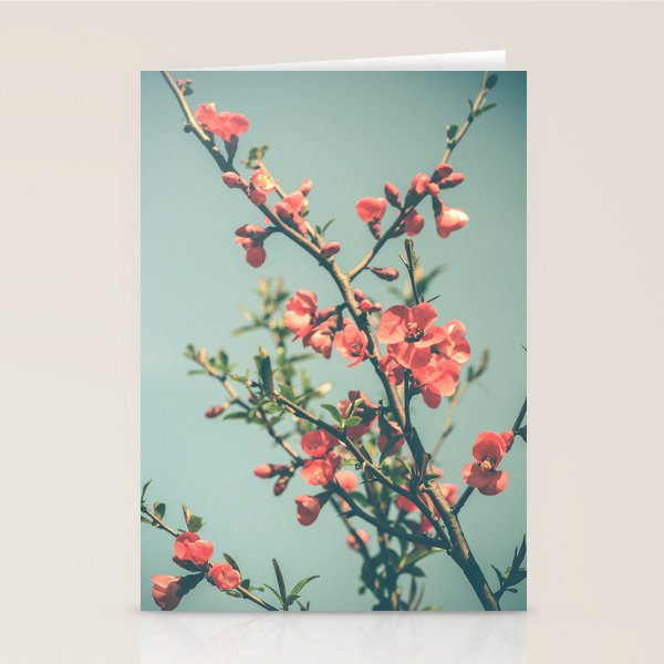 spring photograph 12. - botanical art photograph flower print Stationery Card Gallery Image 2