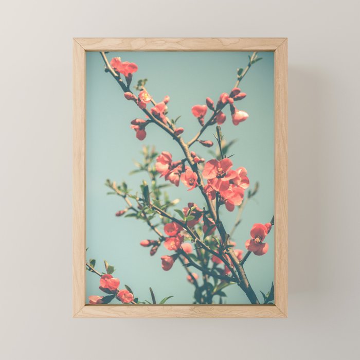 spring photograph 12. - botanical art photograph flower print Mini Art Print Gallery Image 1