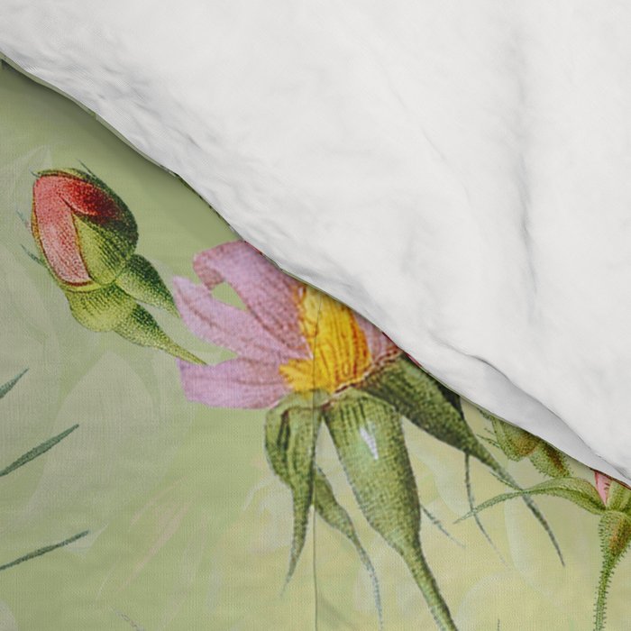 Summer Dreams XIII Comforter Gallery Image 4