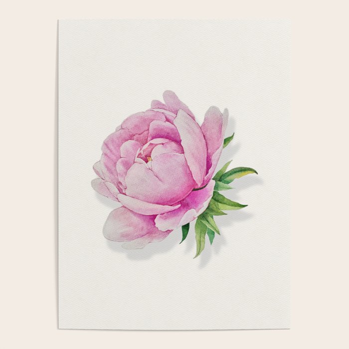 Peony flower painted in watercolor Poster Gallery Image 1