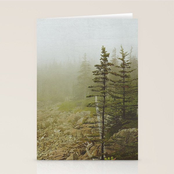 Maine Coast Landscape - Travel photography nature landscape moody decor Stationery Card Gallery Image 2