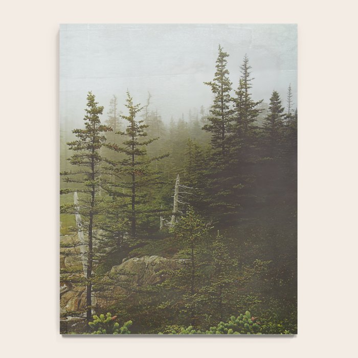 Maine Coast Landscape - Travel photography nature landscape moody decor Notebook Gallery Image 4