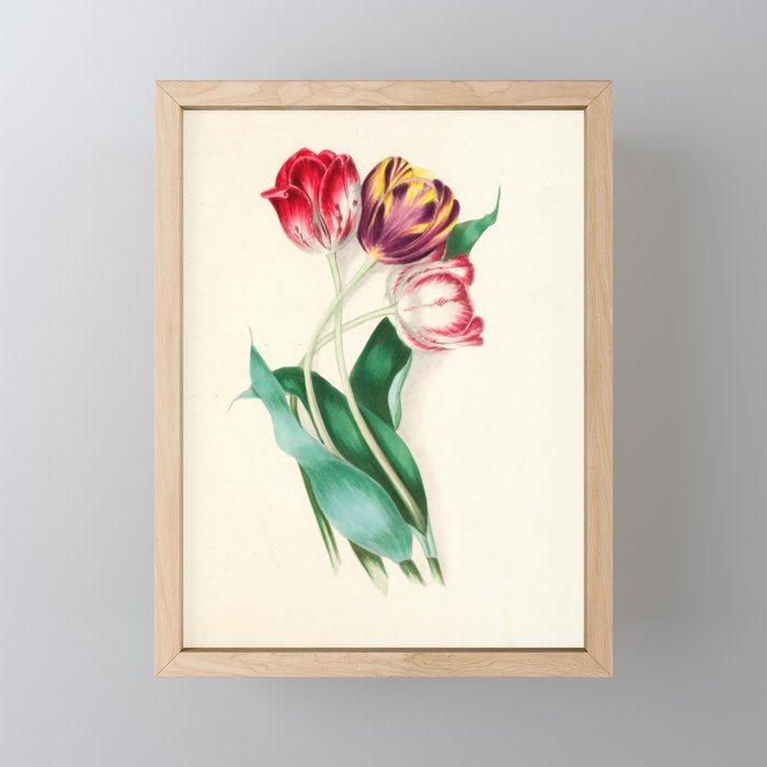 Tulips by Clarissa Munger Badger, "Floral Belles," 1866 (benefitting The Nature Conservancy) Mini Art Print Gallery Image 1