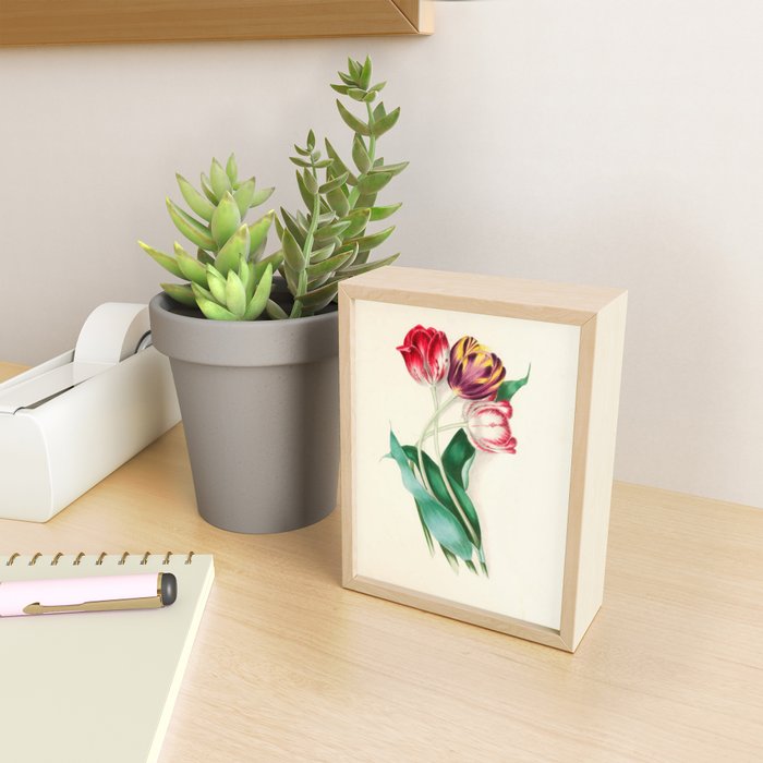 Tulips by Clarissa Munger Badger, "Floral Belles," 1866 (benefitting The Nature Conservancy) Mini Art Print Gallery Image 2