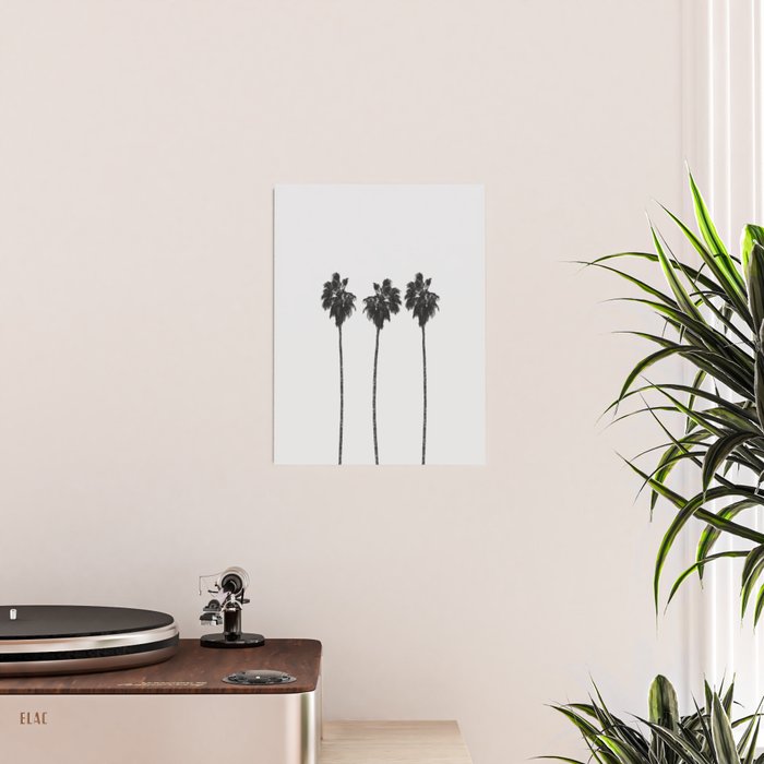 Palm Trees Poster Gallery Image 2
