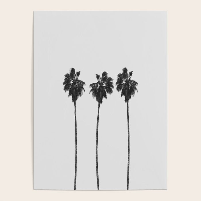 Palm Trees Poster Gallery Image 1