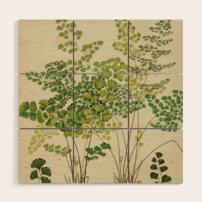 Maidenhair Ferns Wood Wall Art