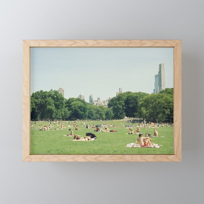 Summer in Central Park New York City | 35mm Film Photography Mini Art Print Gallery Image 1