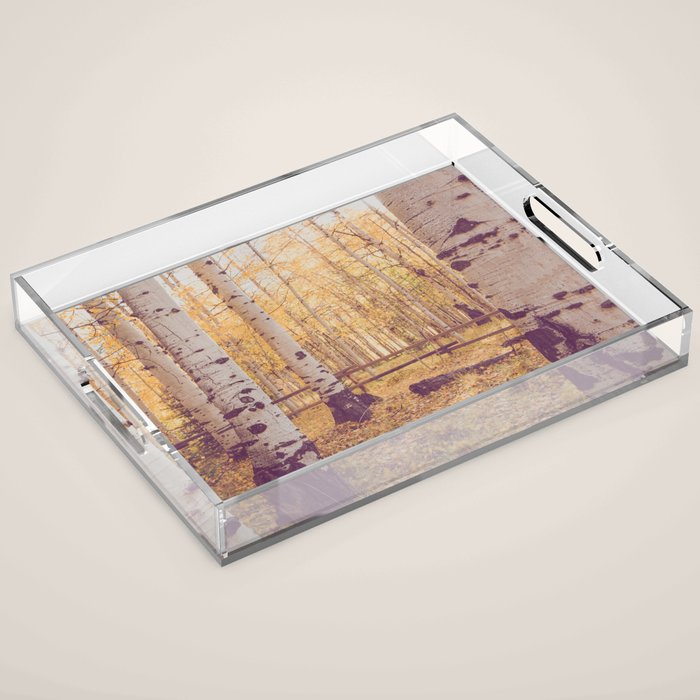 Aspen Grove Autumn Light x Colorado Landscape Photography Acrylic Tray Gallery Image 1