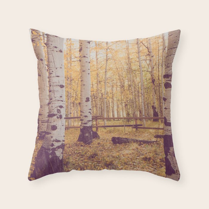 Aspen Grove Autumn Light x Colorado Landscape Photography Throw Pillow Gallery Image 6