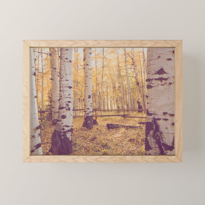 Aspen Grove Autumn Light x Colorado Landscape Photography Mini Art Print Gallery Image 1