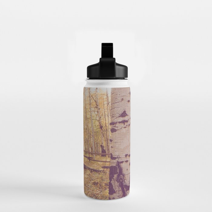 Aspen Grove Autumn Light x Colorado Landscape Photography Water Bottle Gallery Image 2