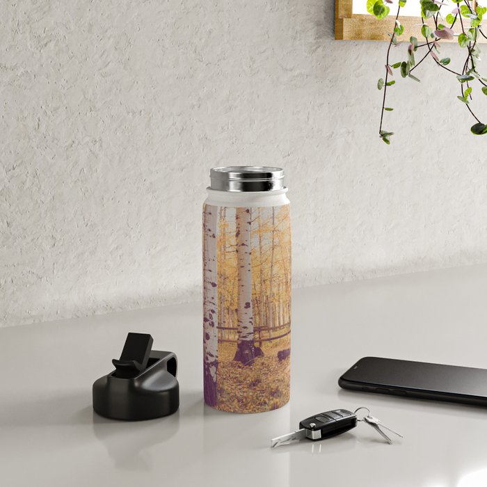 Aspen Grove Autumn Light x Colorado Landscape Photography Water Bottle Gallery Image 4
