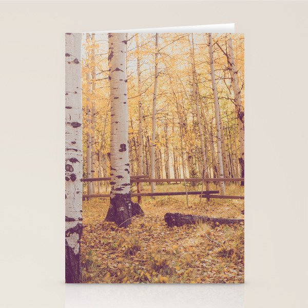 Aspen Grove Autumn Light x Colorado Landscape Photography Stationery Card Gallery Image 2