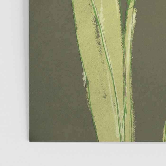 Berry Iris Poster Gallery Image 3