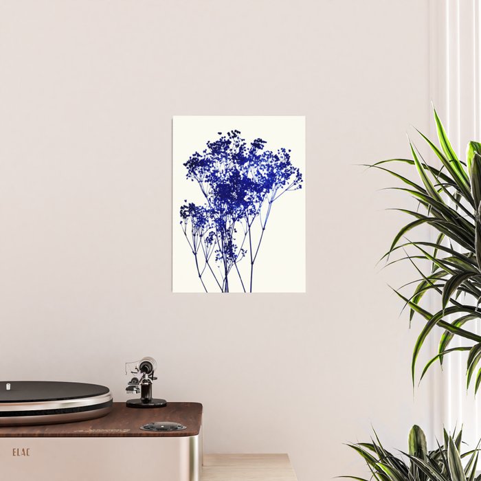 babys breath 1 Poster Gallery Image 2