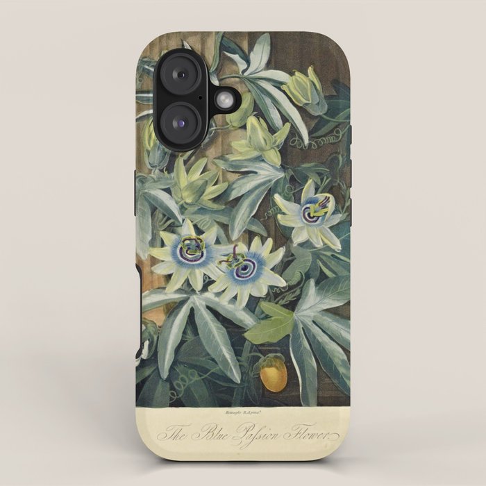 Blue Passionflower from "The Temple of Flora," 1812 (benefitting The Nature Conservancy) iPhone Case Gallery Image 1