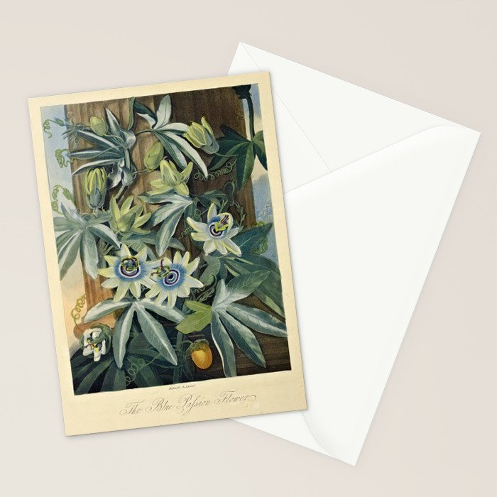 Blue Passionflower from "The Temple of Flora," 1812 (benefitting The Nature Conservancy) Stationery Card Gallery Image 2