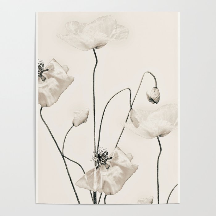 Flowers 20 Poster Gallery Image 1