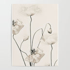 Flowers 20 Poster Gallery Image 4