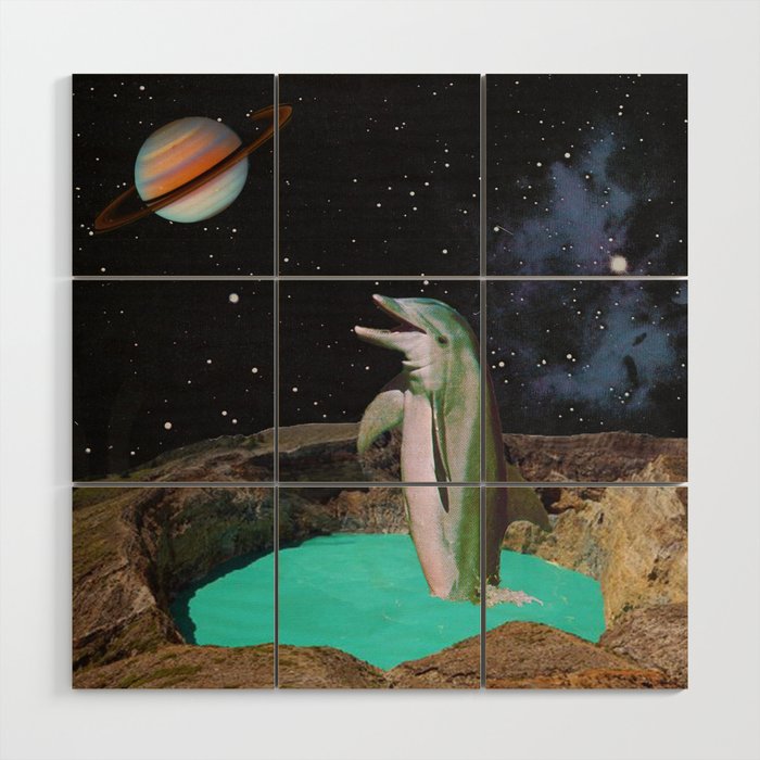 Planet Dolphin Wood Wall Art Gallery Image 1