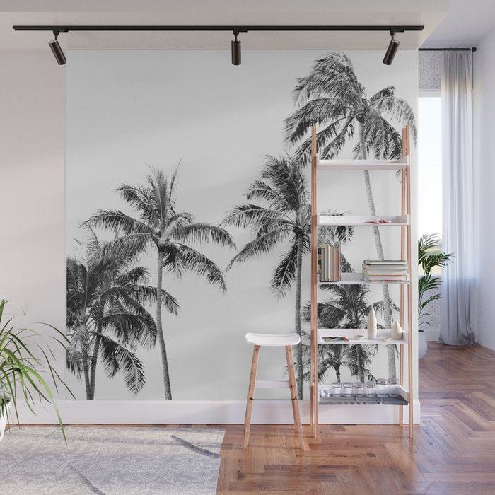 Palm Trees - Black and White Photography Wall Mural Gallery Image 1