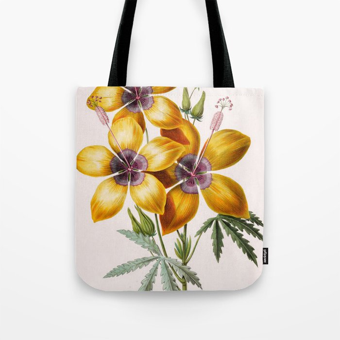 Hibiscus from "Flore dâAmÃ©rique" by Ãtienne Denisse, 1840s Tote Bag Gallery Image 1