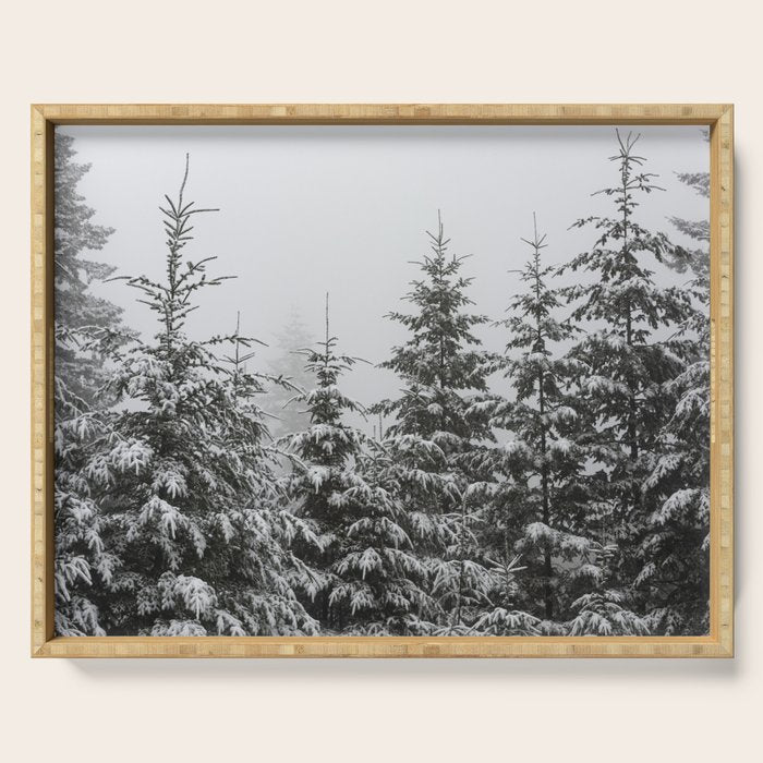 Winter Forest Fir Tree Snow II - Nature Photography Serving Tray Gallery Image 1