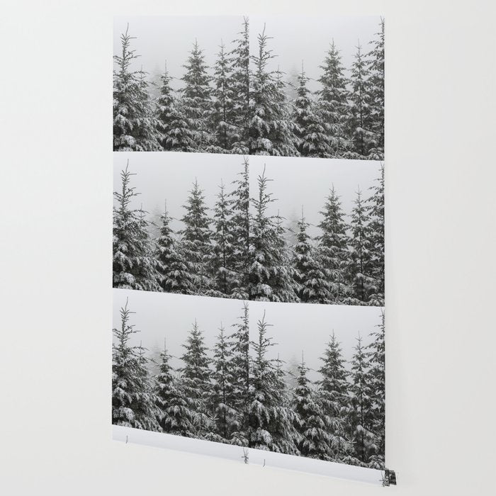 Winter Forest Fir Tree Snow II - Nature Photography Wallpaper Gallery Image 2