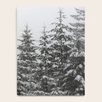 Winter Forest Fir Tree Snow II - Nature Photography Notebook Gallery Image 4